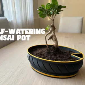 Maceteros bonsai